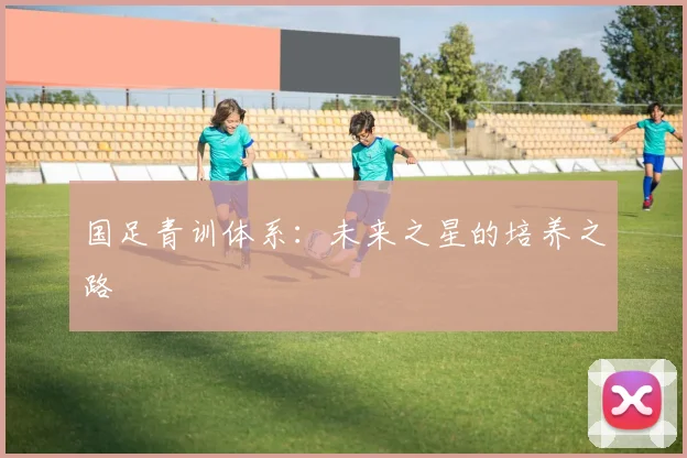 国足青训体系：未来之星的培养之路