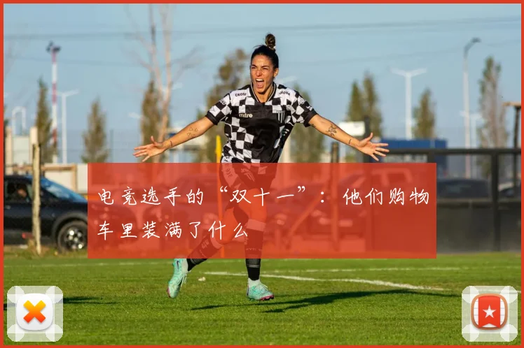 电竞选手的“双十一”：他们购物车里装满了什么